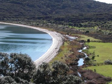 Whakanewha Regional Park